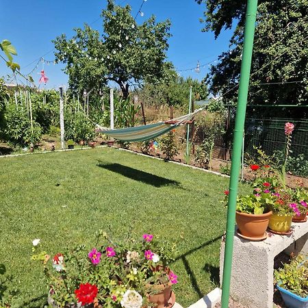 Casa Simona Hotel Două Mai Екстериор снимка