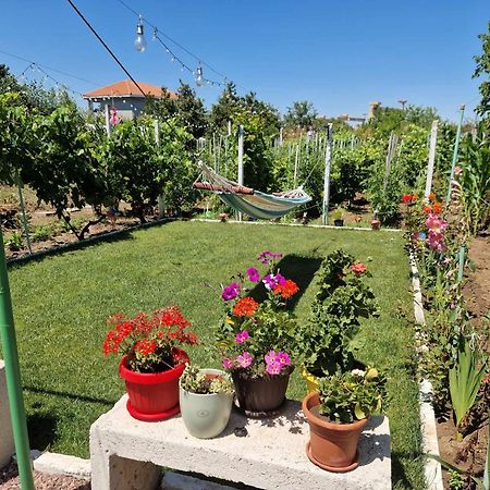 Casa Simona Hotel Două Mai Екстериор снимка