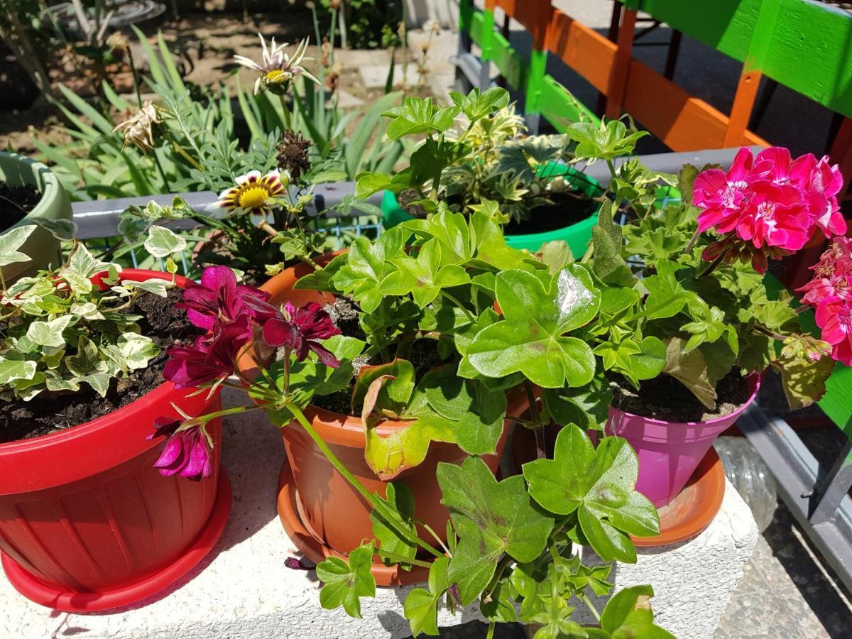 Casa Simona Hotel Două Mai Екстериор снимка