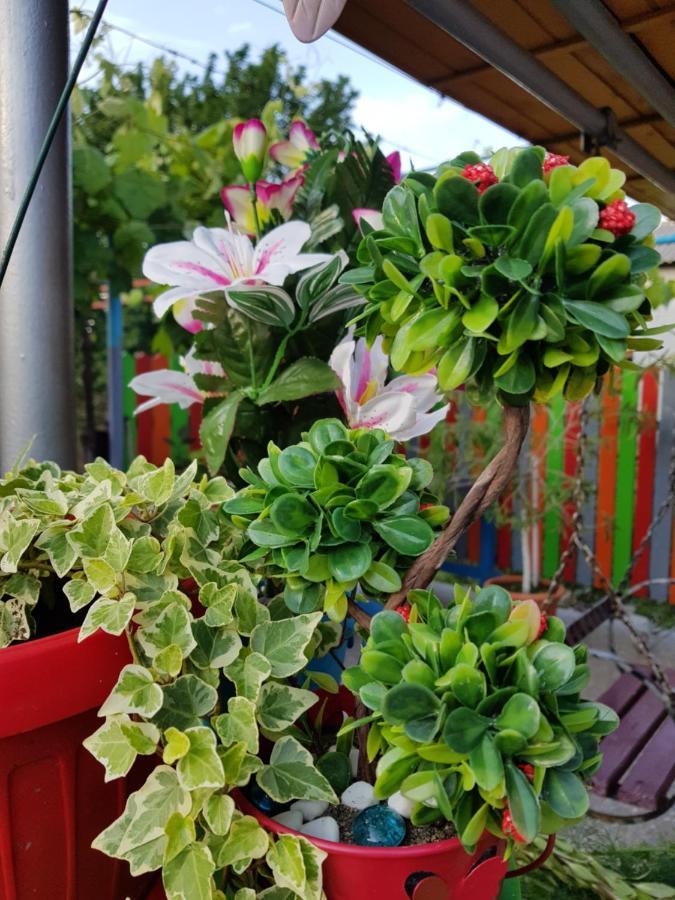 Casa Simona Hotel Două Mai Екстериор снимка